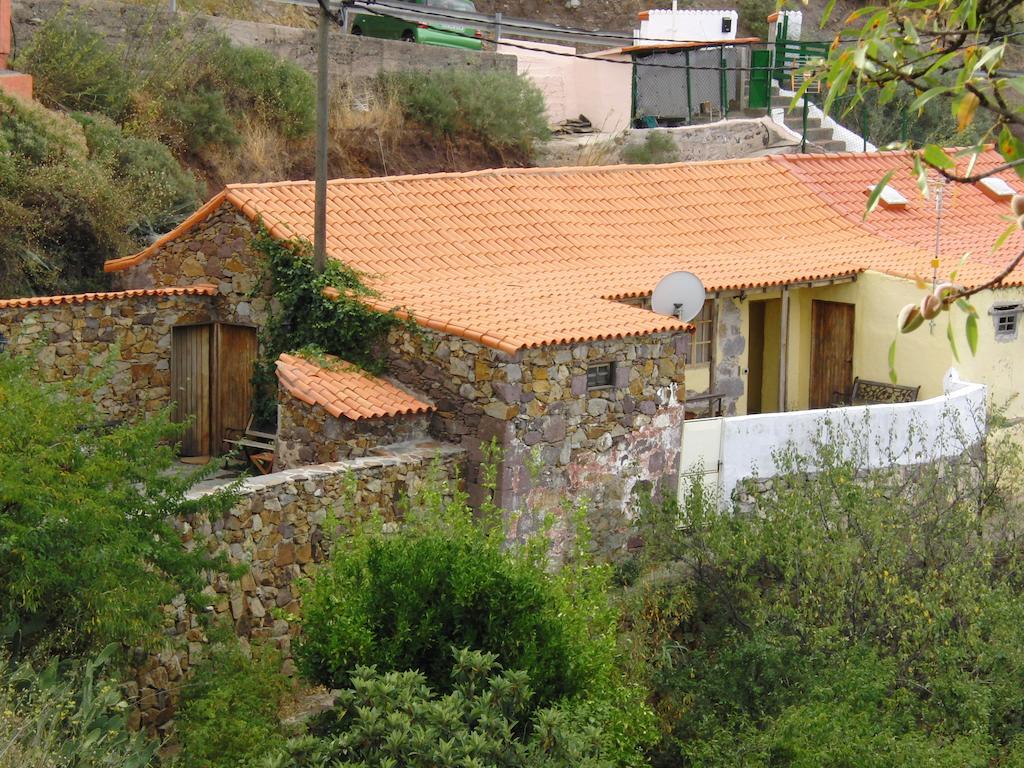 Casa Rural - Laendliches Haus, Pepita La De Las Flores เตเฮดา ภายนอก รูปภาพ