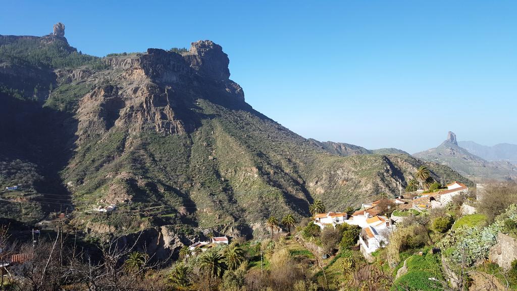 Casa Rural - Laendliches Haus, Pepita La De Las Flores เตเฮดา ภายนอก รูปภาพ