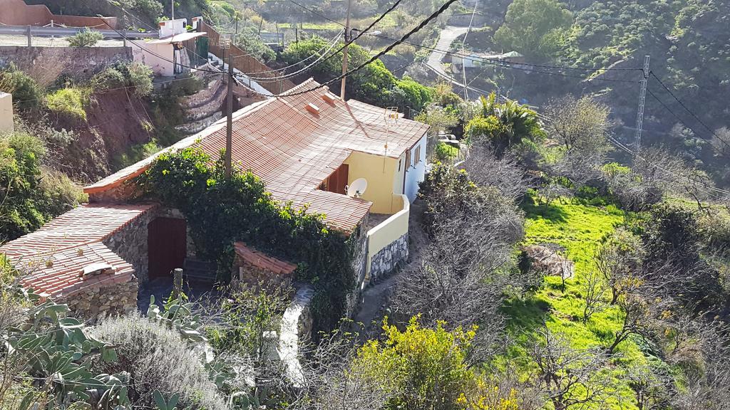 Casa Rural - Laendliches Haus, Pepita La De Las Flores เตเฮดา ภายนอก รูปภาพ