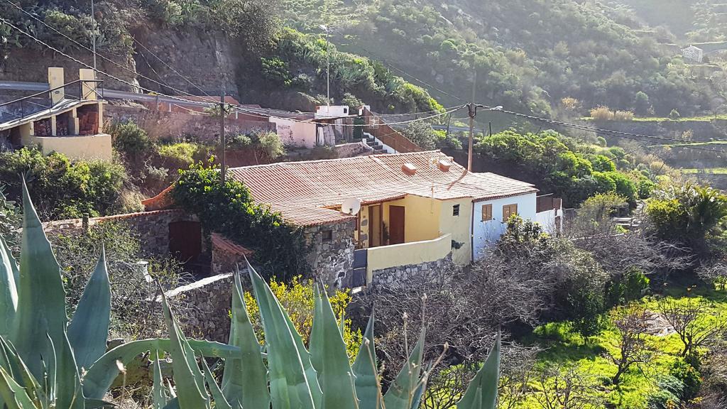 Casa Rural - Laendliches Haus, Pepita La De Las Flores เตเฮดา ภายนอก รูปภาพ