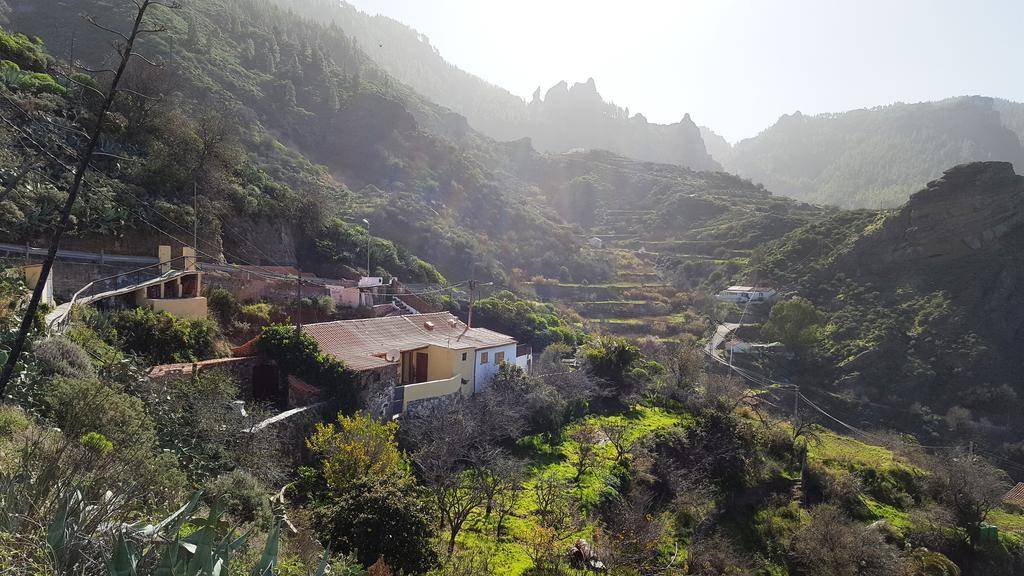 Casa Rural - Laendliches Haus, Pepita La De Las Flores เตเฮดา ภายนอก รูปภาพ