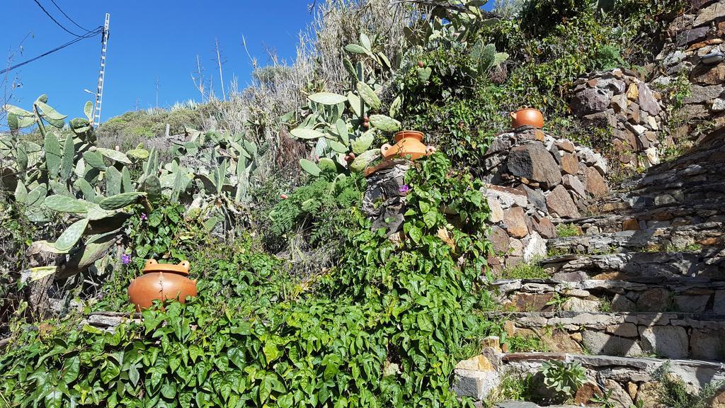 Casa Rural - Laendliches Haus, Pepita La De Las Flores เตเฮดา ภายนอก รูปภาพ
