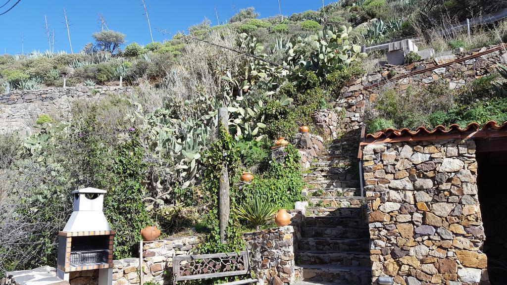 Casa Rural - Laendliches Haus, Pepita La De Las Flores เตเฮดา ภายนอก รูปภาพ