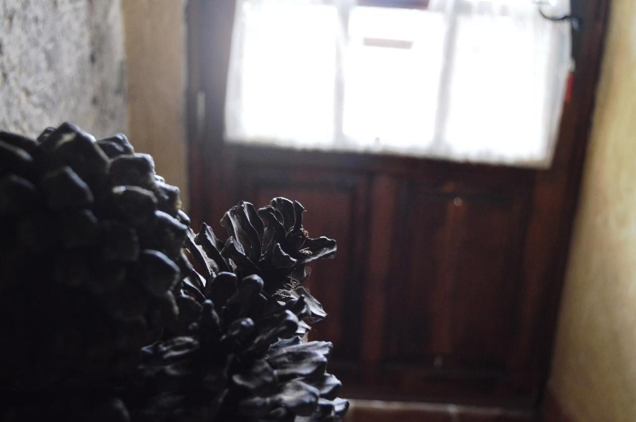 Casa Rural - Laendliches Haus, Pepita La De Las Flores เตเฮดา ภายนอก รูปภาพ