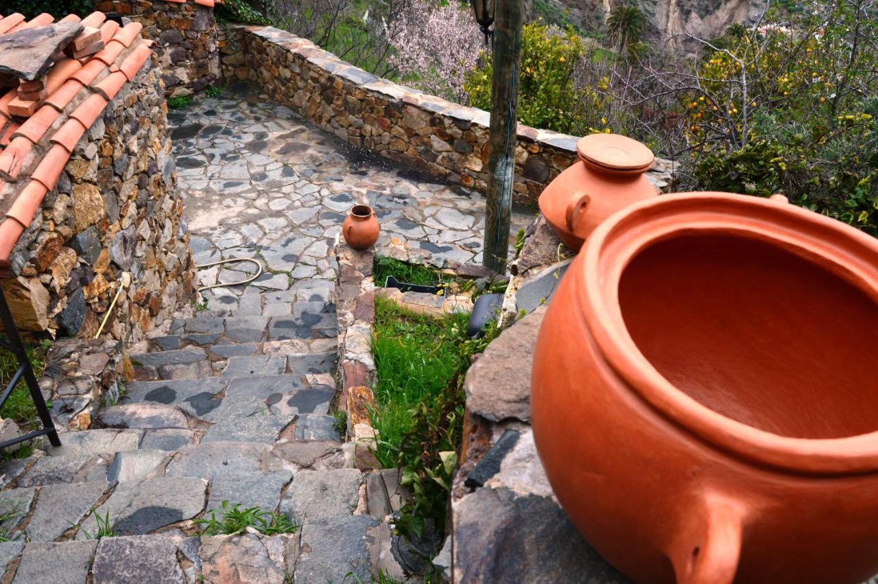 Casa Rural - Laendliches Haus, Pepita La De Las Flores เตเฮดา ภายนอก รูปภาพ