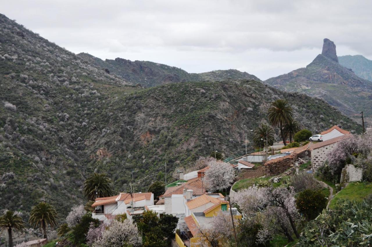 Casa Rural - Laendliches Haus, Pepita La De Las Flores เตเฮดา ภายนอก รูปภาพ